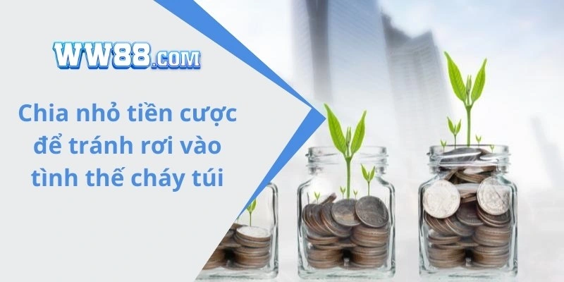 Chia nhỏ tiền cược để tránh rơi vào tình thế cháy túi