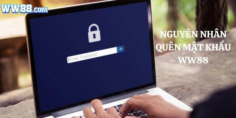 Nguyên nhân dẫn đến quên mật khẩu WW88 là gì?