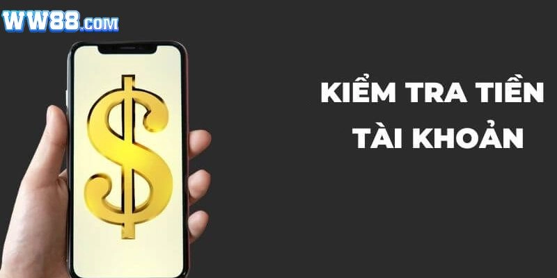 Kiểm tra tiền trong tài khoản